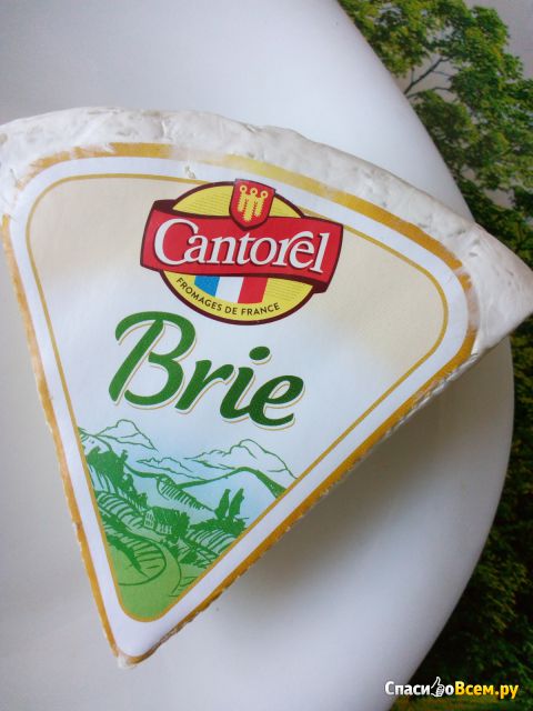 Сыр Cantorel Brie