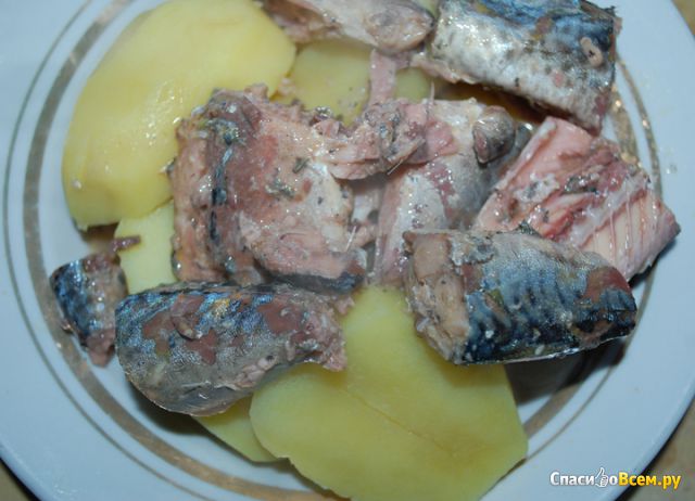 Рыбные консервы  "Роскон" cкумбрия атлантическая натуральная с добавлением масла