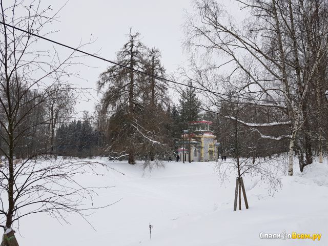 Александровский парк (Санкт-Петербург, г. Пушкин)