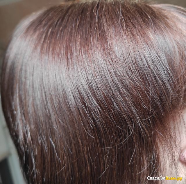 Краска для волос Garnier Color Naturals 5.23 Пряный каштан