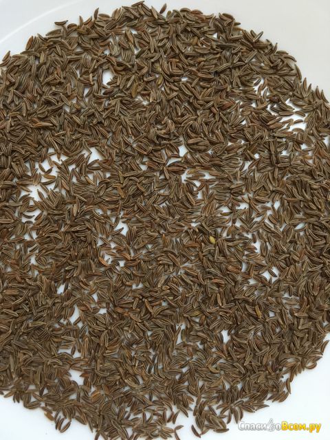 Тмин семена Kotanyi