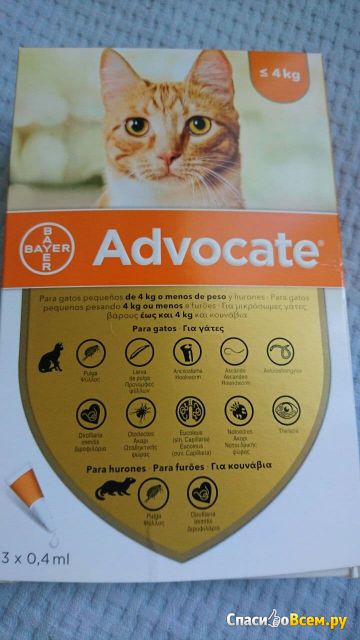 Капли для кошек Advocate Bayer от блох, гельминтов и клещей
