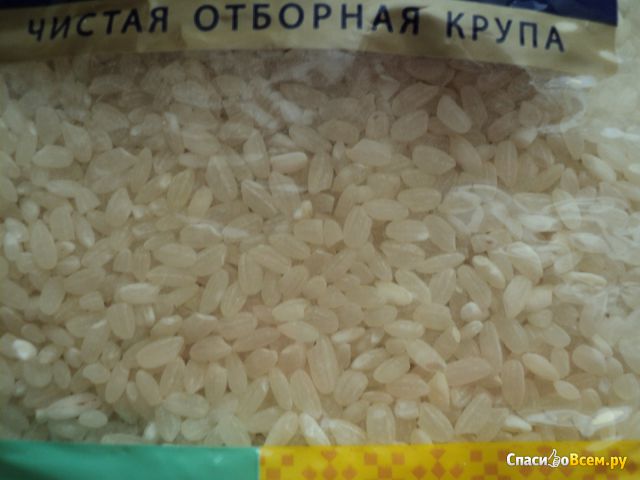 Рис круглозерный "Увелка"