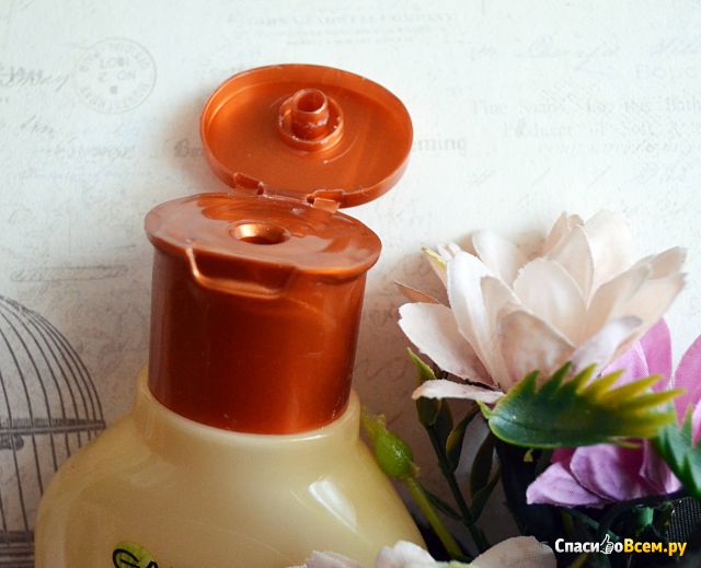 Шампунь Garnier Botanic Therapy восстанавливающий "Маточное молочко и прополис"