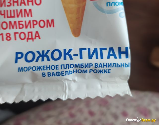 Мороженое "Настоящий пломбир" в вафельном рожке Русский холод