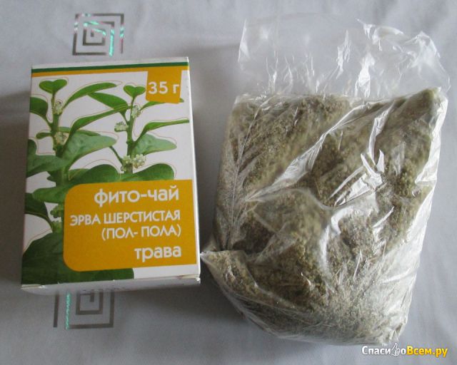 Фито-чай "Эрва шерстистая (пол-пала)" трава "Даулет-Фарм"