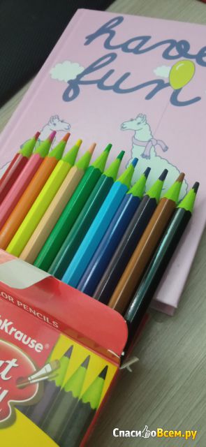 Пластиковые цветные карандаши шестигранные Erich Krause  "ArtBerry" 12 цветов