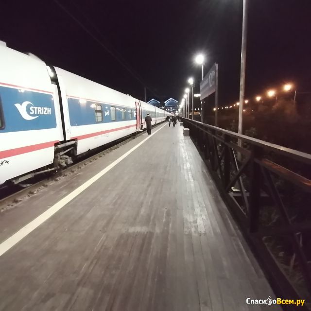 Поезд "Стриж" Самара - Санкт-Петербург