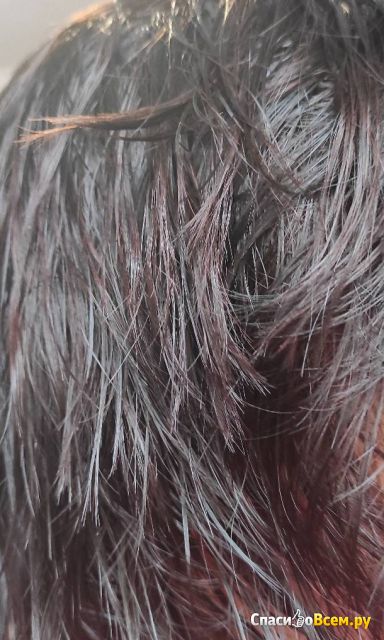 Стойкая краска для волос Schwarzkopf Gliss Kur Уход&Увлажнение с гиалуроновой кислотой 4-68