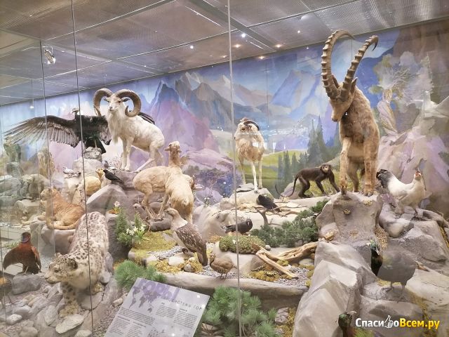 Государственный Дарвиновский музей (Россия, Москва)