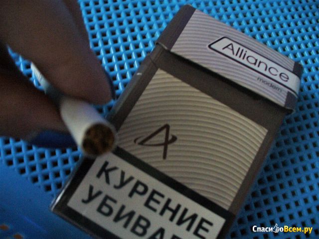 Сигареты Alliance Modern