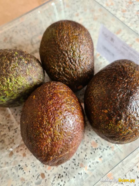 Авокадо Хасс Artfruit