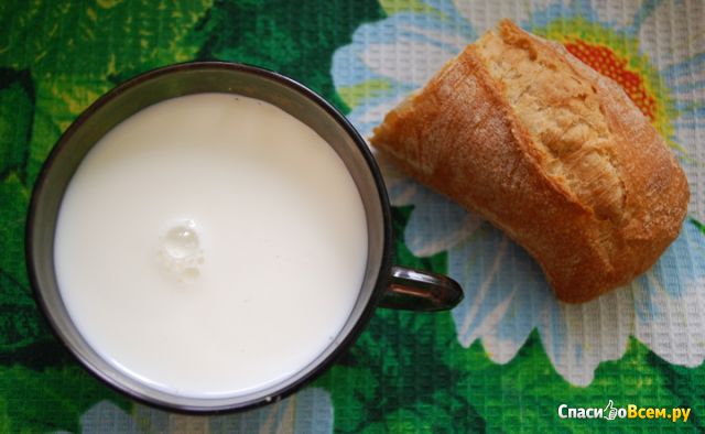 Молоко "Ирбитское", 2,5%