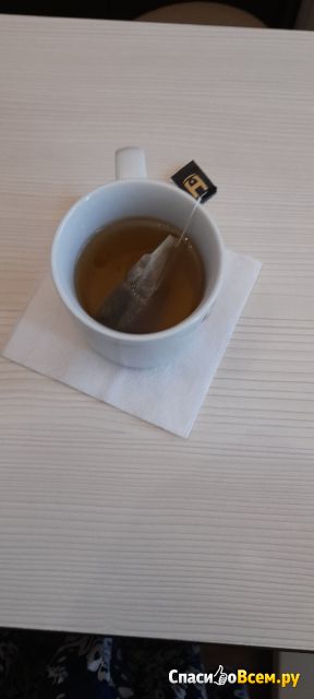 Классический  зеленый чай в пакетиках Hillway
