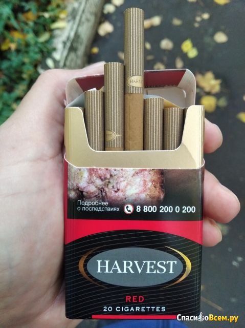 Сигареты Harvest Red