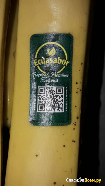 Бананы Tropical premium bananas Ecuasabor
