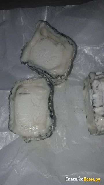 Сыр мягкий с плесенью из козьего молока "Бюш де Шевр" в тепле фруктовых деревьев УГМК-Агро