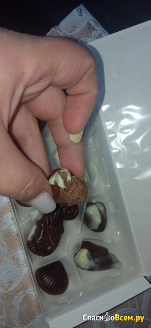 Бельгийские шоколадные конфеты-ракушки Ameri с начинкой пралине