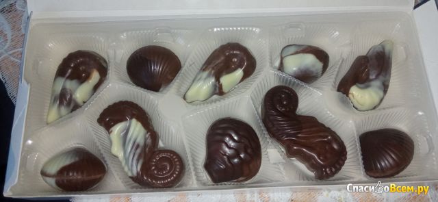 Бельгийские шоколадные конфеты-ракушки Ameri с начинкой пралине