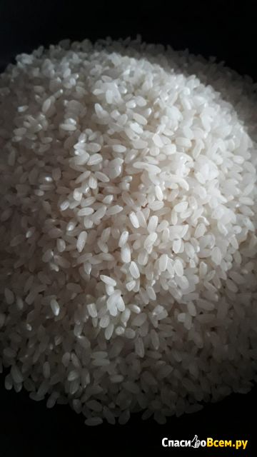 Рис круглозерный "Царь"