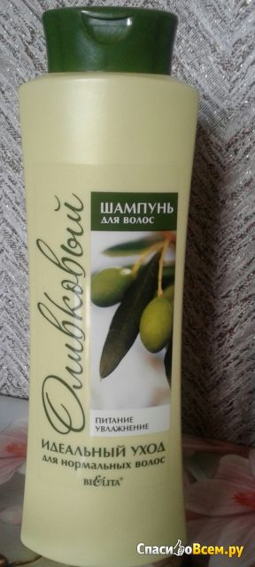 Шампунь Bielita Витэкс Оливковый для нормальных волос "Питание и увлажнение"