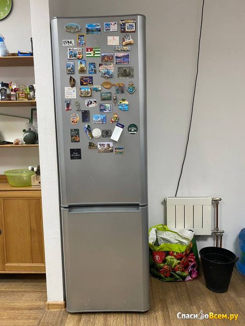 Холодильник-морозильник Indesit B 18.025