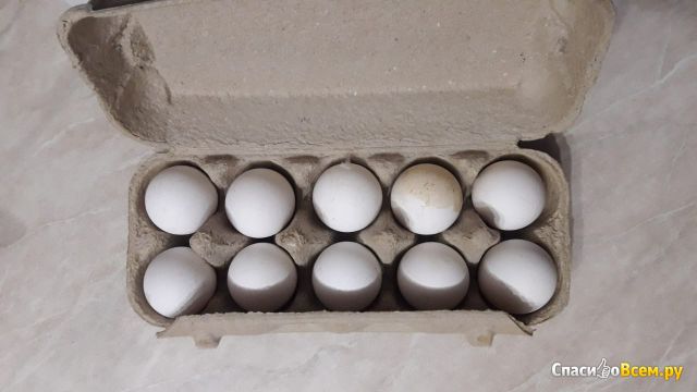 Яйца куриные С2 "Каждый день"
