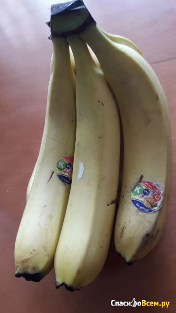 Бананы Prima Donna
