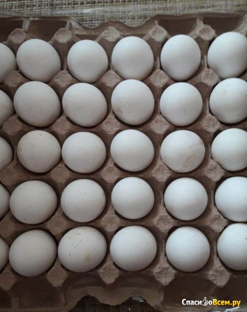 Яйца куриные С1 "Каждый день"