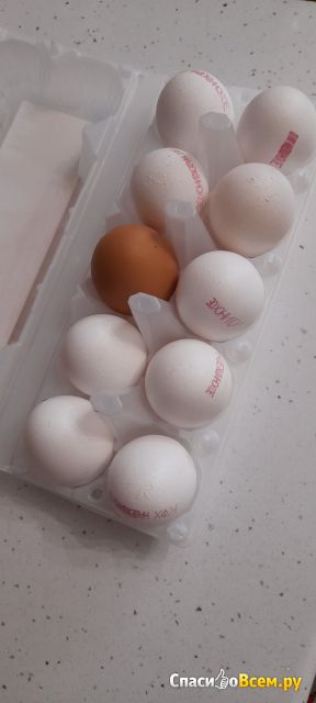 Красители для декорирования пасхальных яиц "Домашняя кухня"