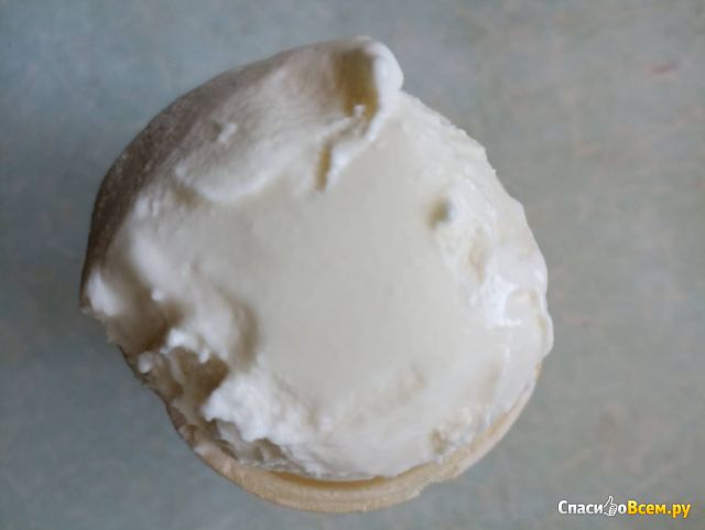 Мороженое ванильный пломбир в вафельном стаканчике "Светаево"
