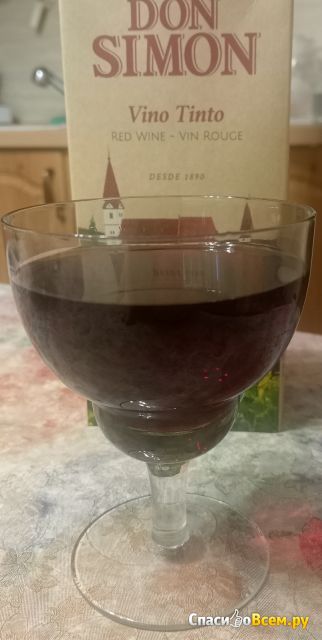 Испанское красное сухое вино Don Simon