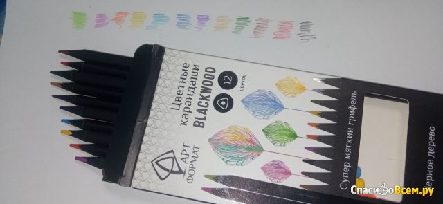 Набор цветных карандашей "АРТ формат" 12 цветов Blackwood