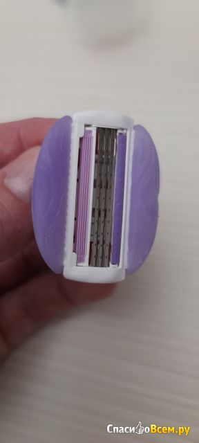 Сменные кассеты для безопасных бритв Gillette Venus Comfortglide Breeze