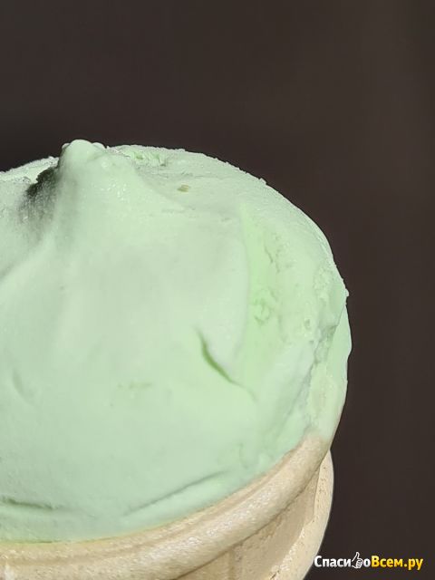 Мороженое Пломбир настоящий "Русский холод" с ароматом фисташки