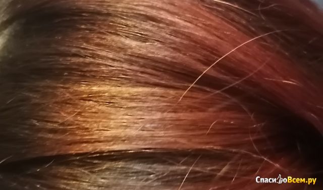 Стойкая крем-краска для волос "Интенсивный цвет" Palette 7-77 Роскошный медный