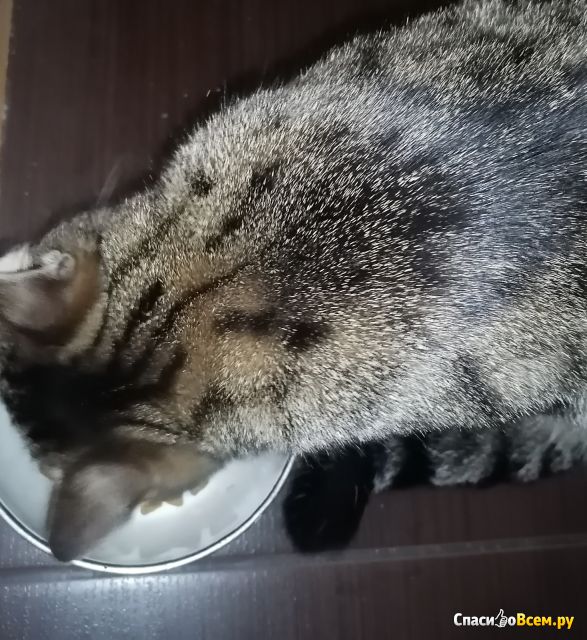 Сухой корм Perfect Fit для стерилизованных кошек с говядиной