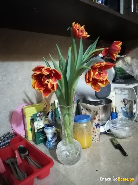 Цветы Тюльпаны