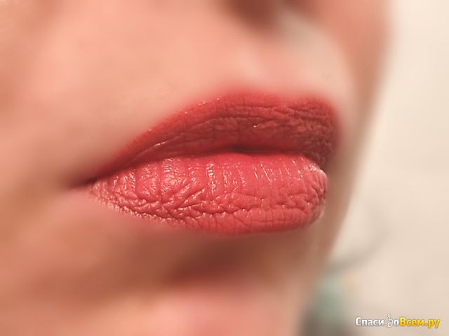 Помада для губ Stellary устойчивая Long Lasting Lipstick тон 23