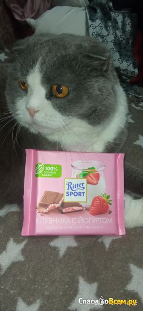 Шоколад Ritter Sport клубника с йогуртом