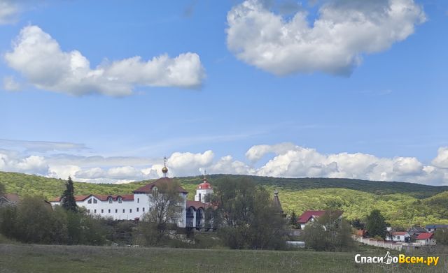 Заволжский Свято-Ильинский женский монастырь (Россия, Самарская область, с. Подгоры)