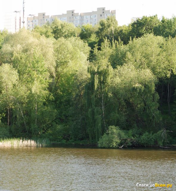 Парк имени 850-летия Москвы в Марьино (Москва)