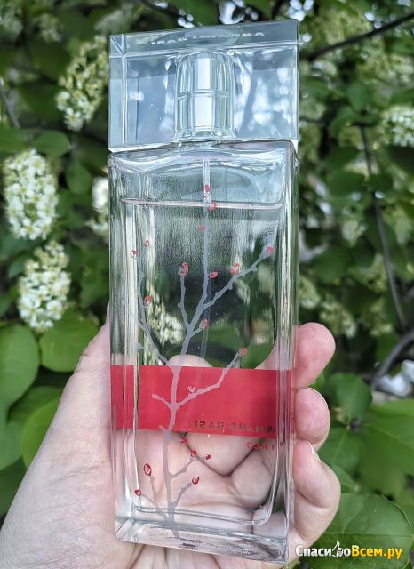 Туалетная вода Armand Basi In Red