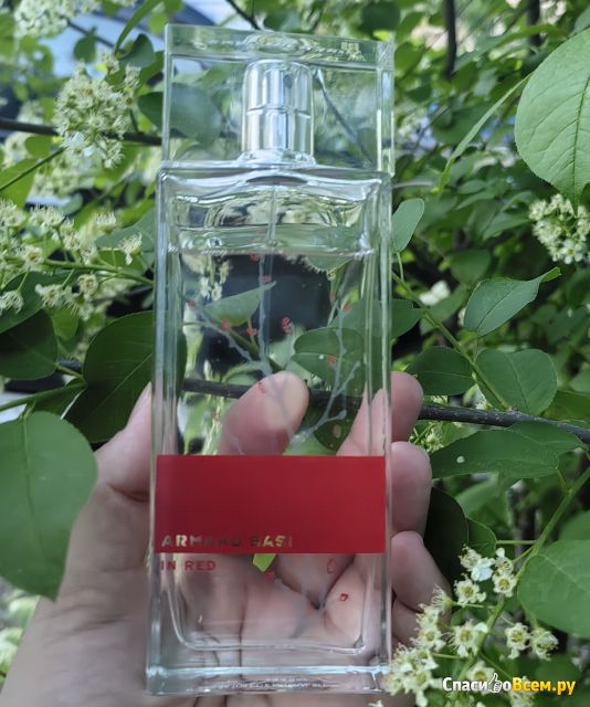 Туалетная вода Armand Basi In Red