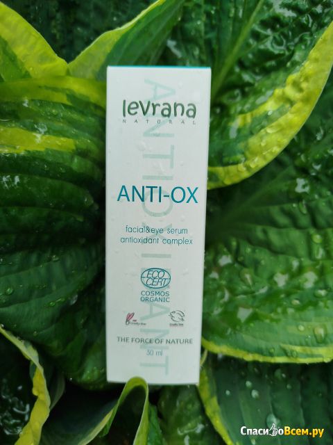 Сыворотка для лица Levrana Anti Ox антиоксидантная защита