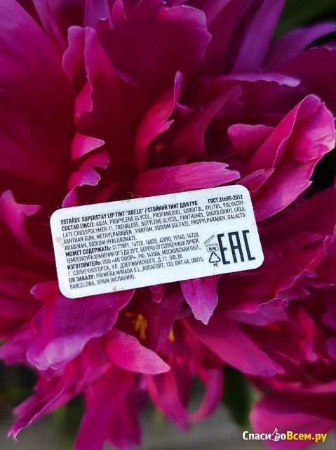 Тинт для губ Estrade Adele Superstay Lip Tint