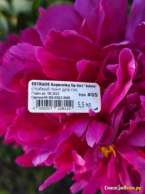 Тинт для губ Estrade Adele Superstay Lip Tint