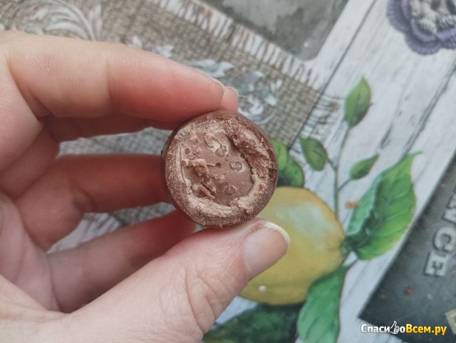 Фотография Шоколадные конфеты Победа вкуса "Мишки в лесу" с шоколадно-вафельной начинкой | отзыв покупателя Шоколадные конфеты Победа вкуса "Мишки в лесу" с шоколадно-вафельной начинкой