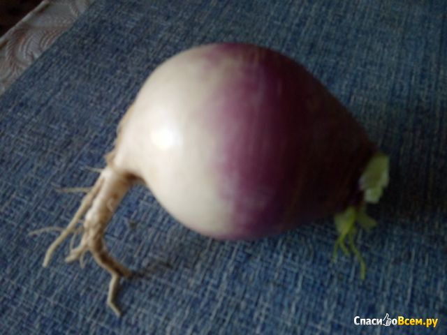 Семена репы "Внучка"  АФ "Аэлита"