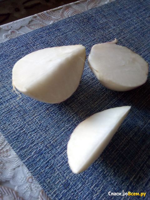 Семена репы "Внучка"  АФ "Аэлита"